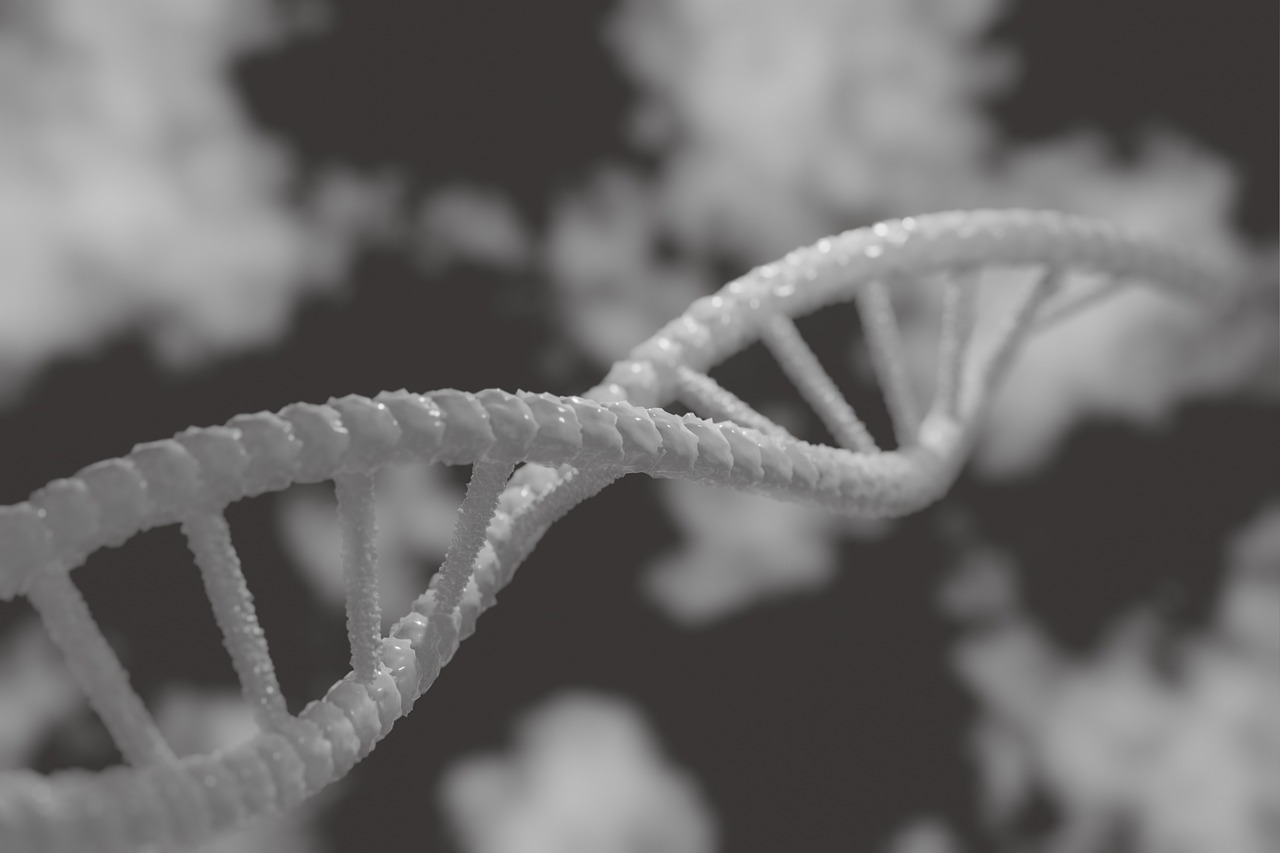 How Discoveries in Genetics are Shaping Personalized Medicine
